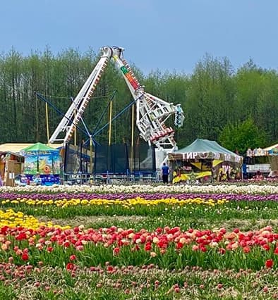 Розваги