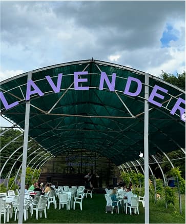 Наші послуги