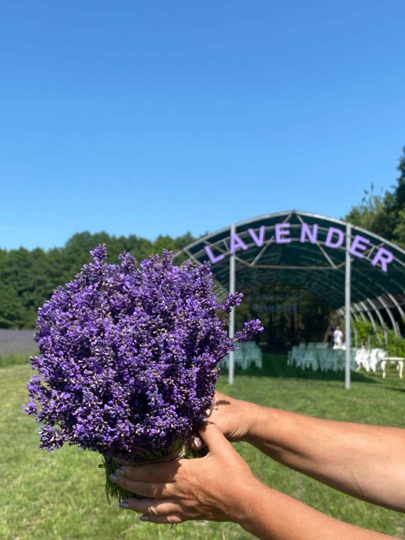 Квіти додому