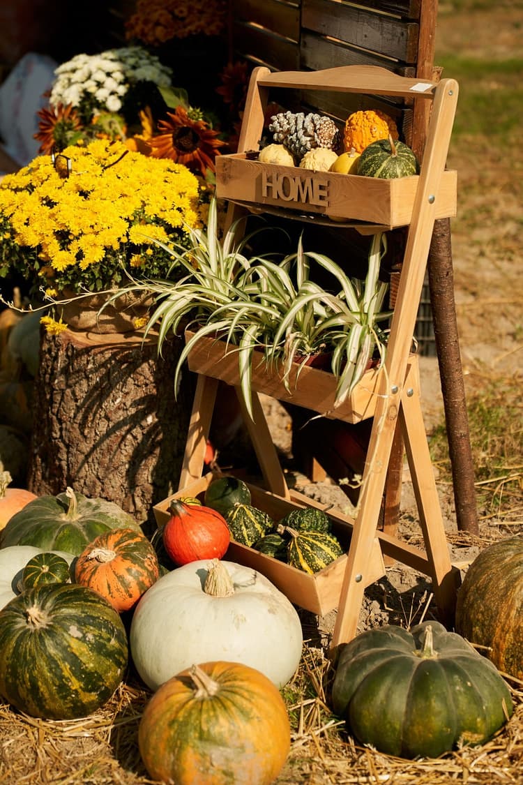 Готуємо сюрприз для наших гостей.
