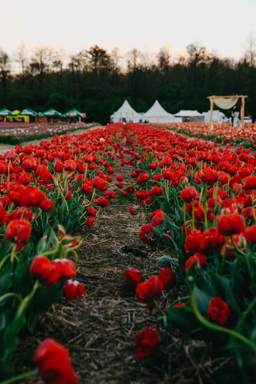 Відпочинок